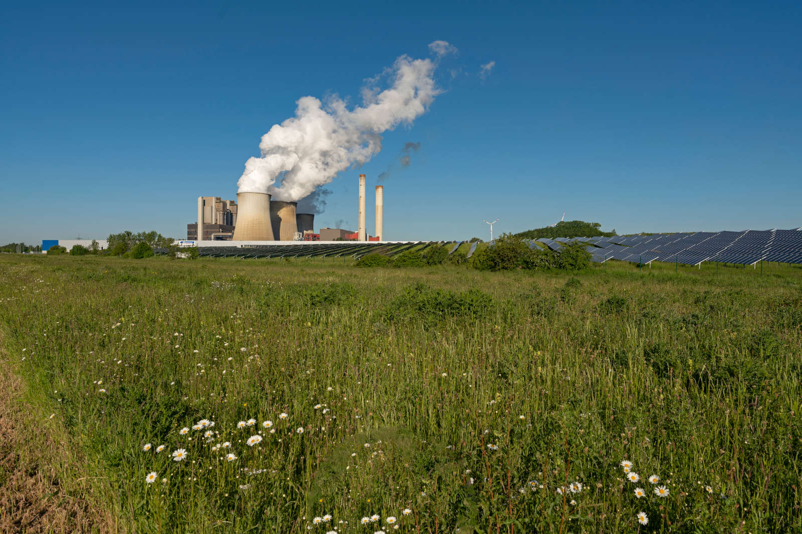 A green meadow with flowers in the foreground, with a power plant emitting smoke and solar panels in the background.