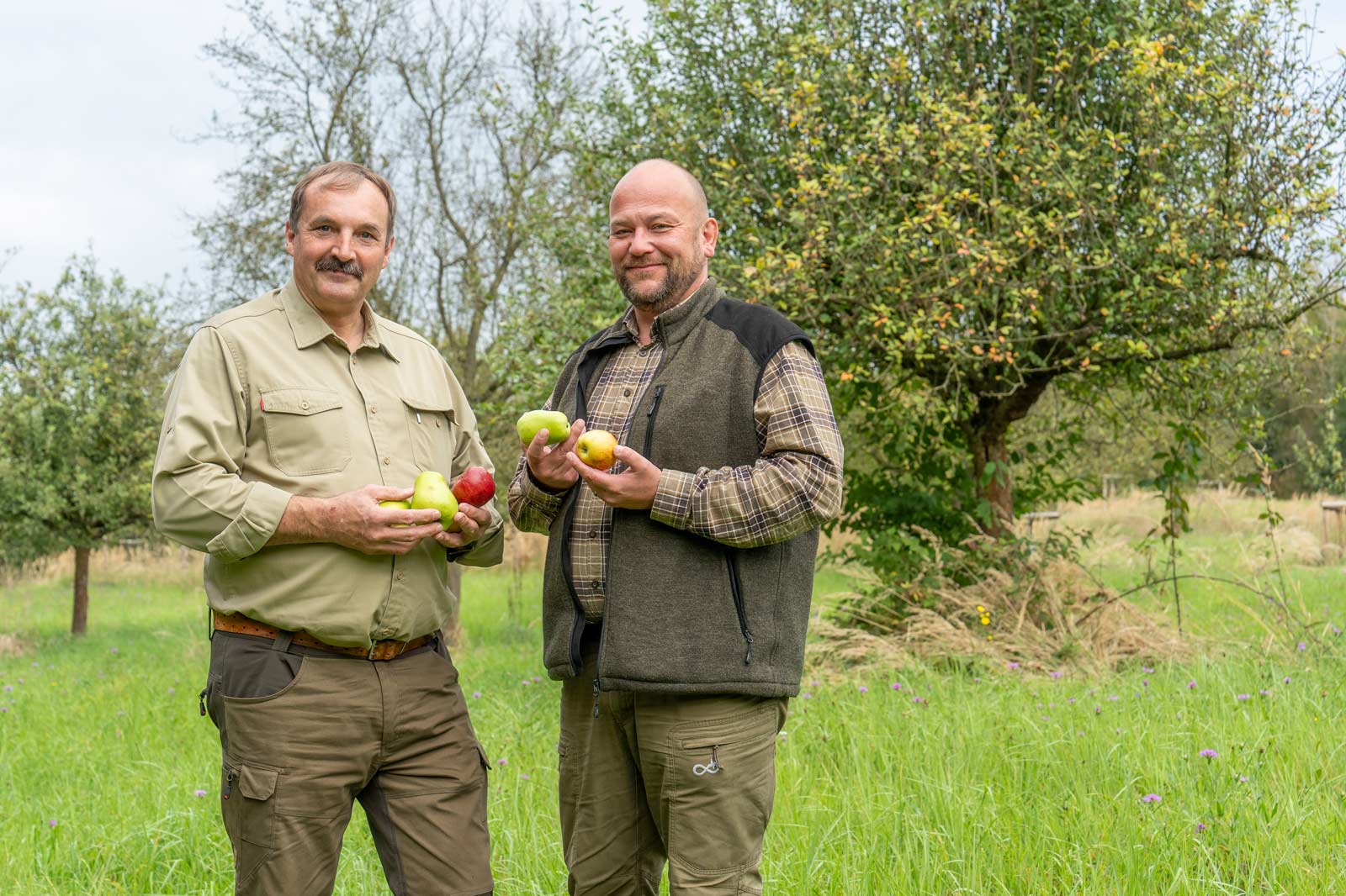 Zwei Männer halten Äpfel und Birnen in einem Obstgarten, umgeben von Bäumen und grünem Gras.