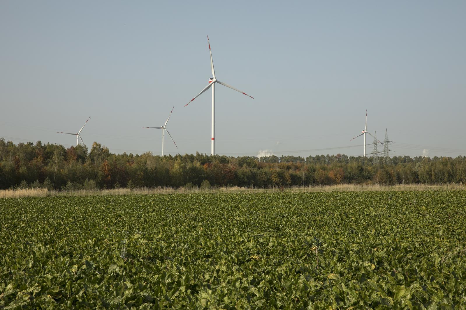 Ein Windpark mit mehreren Windturbinen befindet sich vor einem klaren Himmel und überblickt ein saftig grünes Feld.