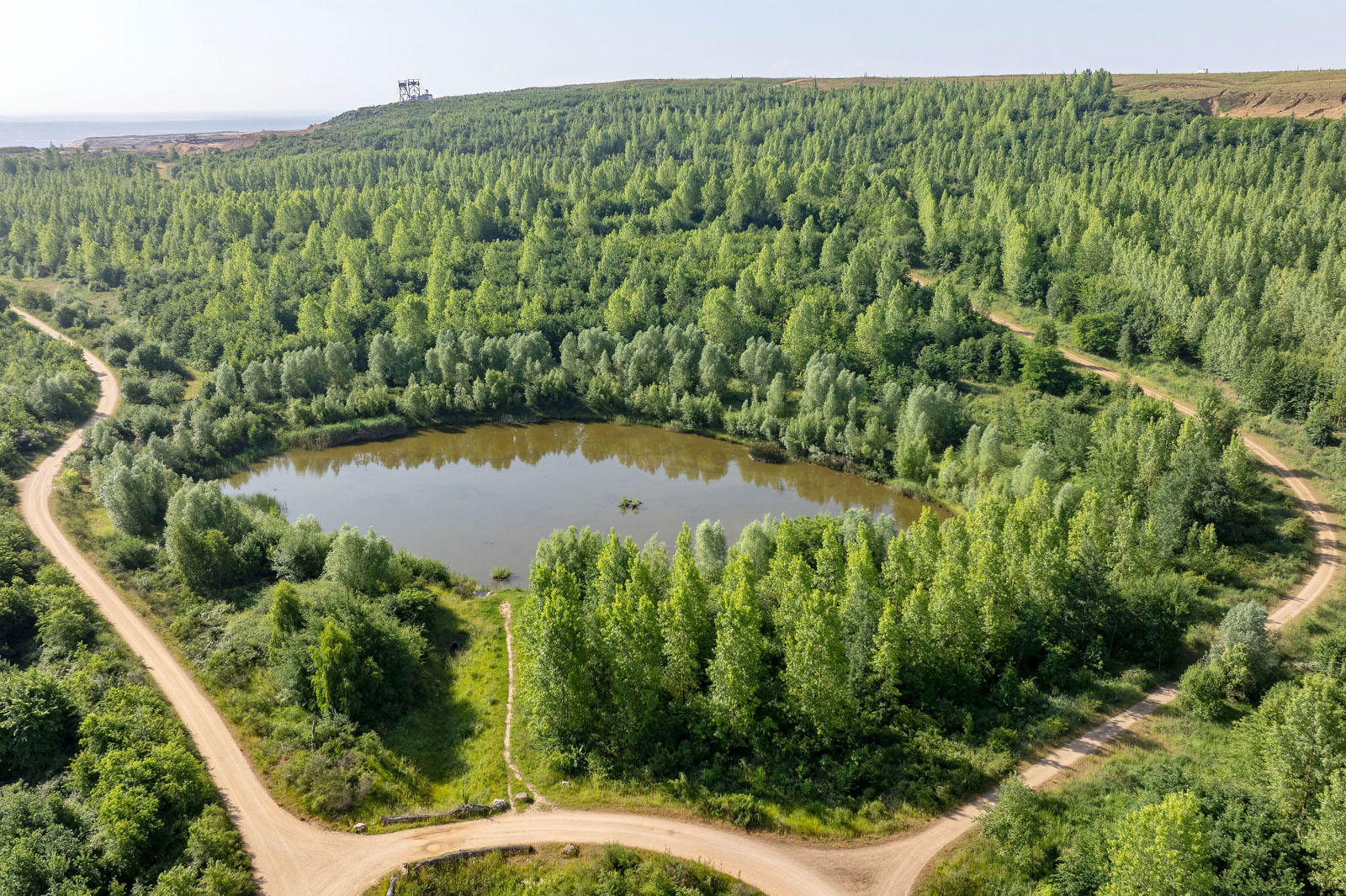 Vogelperspektive auf einen ruhigen Teich, umgeben von üppigem Grün und gewundenen Schotterwegen unter einem klaren blauen Himmel.
