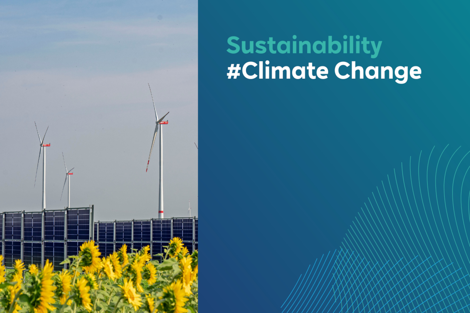 Ein Feld mit Sonnenblumen, Windkraftanlagen und Solarpanels im Hintergrund, das Nachhaltigkeit und Klimawandel symbolisiert.