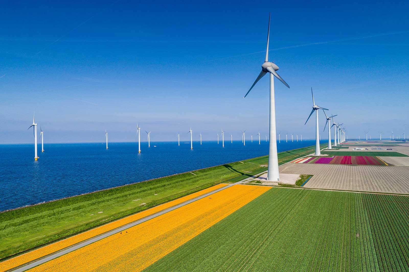 Windkraftanlagen stehen entlang der Küste, neben bunten Blumenfeldern und dem blauen Meer.