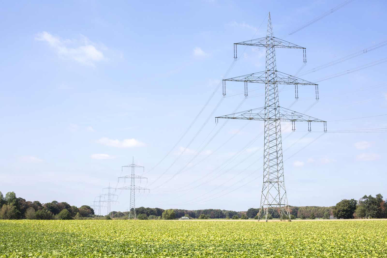 Hohe Strommasten ragen über ein weitläufiges, grünes Feld unter einem klaren Himmel mit wenigen Wolken.