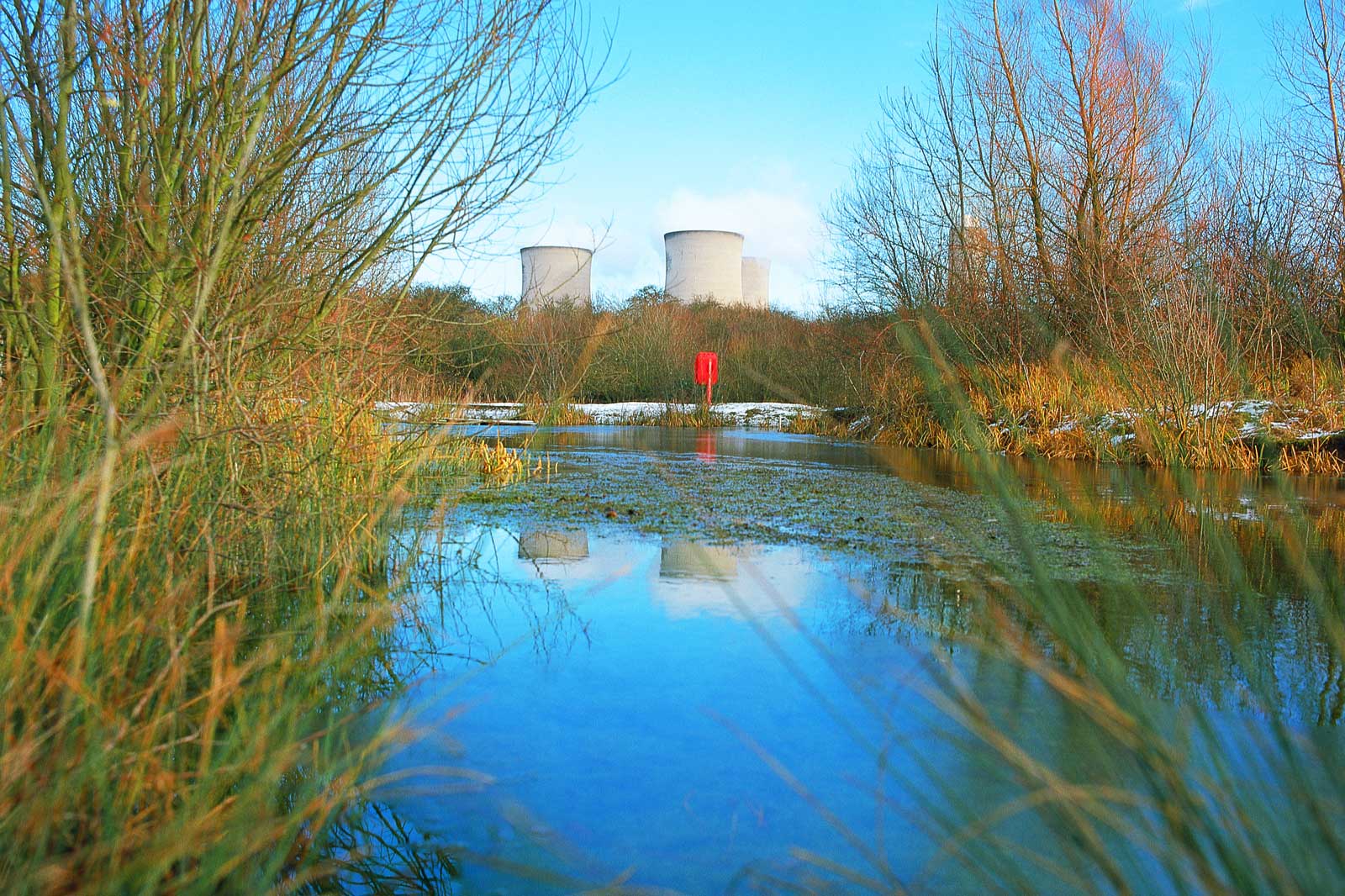 A tranquil water scene with reflections, surrounded by reeds and trees. Cooling towers are visible in the background.