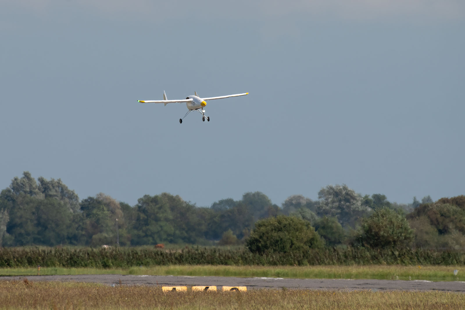 Leichtes weißes Kleinflugzeug mit gelben Akzenten fliegt niedrig über eine grasbewachsene Startbahn vor einer Baumreihe und einem bewölkten grauen Himmel.