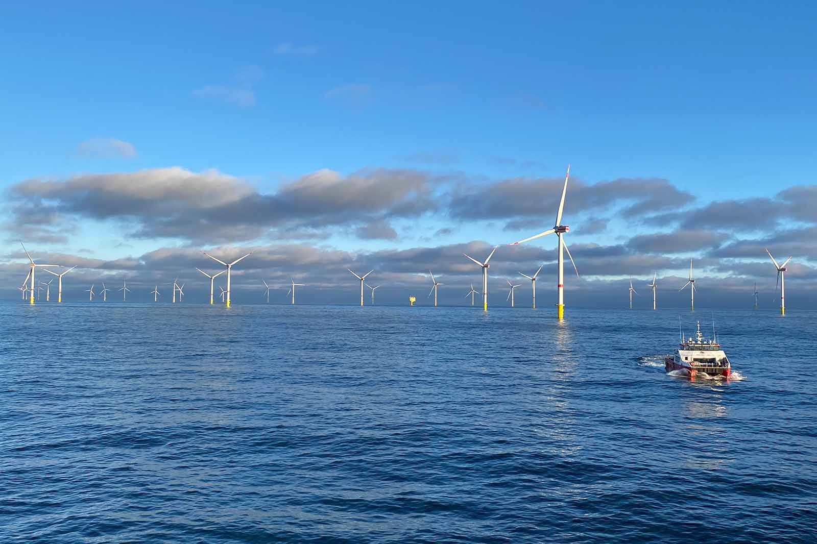 Ein kleines Arbeitsboot mit rotem Rumpf fährt rechts im Vordergrund zwischen zahlreichen weißen Offshore-Windturbinen mit gelben Fundamenten über ruhigem blauem Meer unter hellem Himmel.
