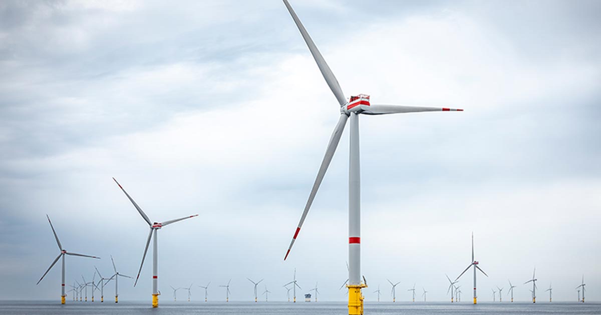 RWE partners with leading marine scientists to monitor biodiversity ...