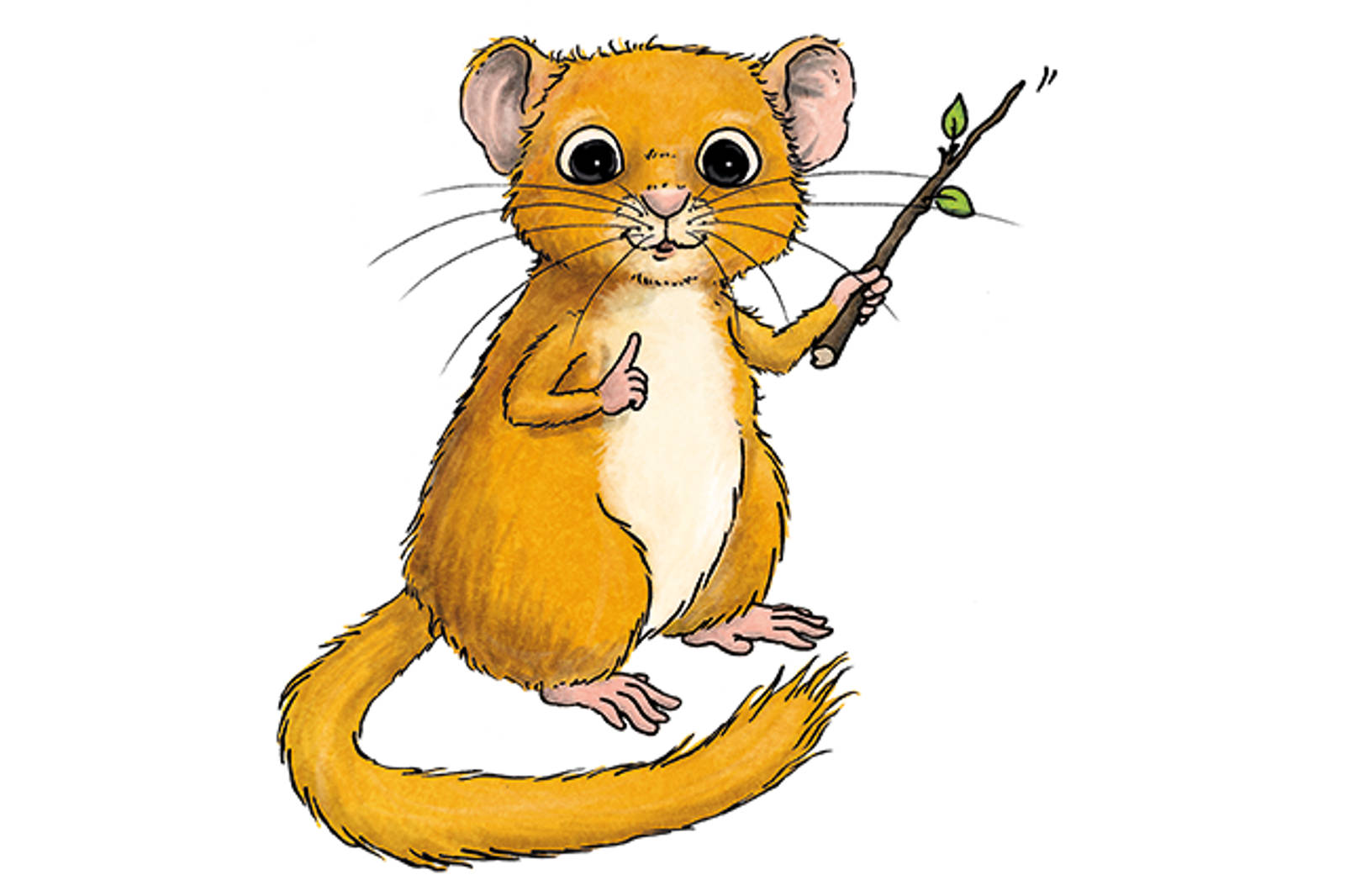 Eine Comicfigur, ein kleines pelziges Wesen mit orangefarbenem Fell, hält einen Stock mit Blättern und schaut neugierig.