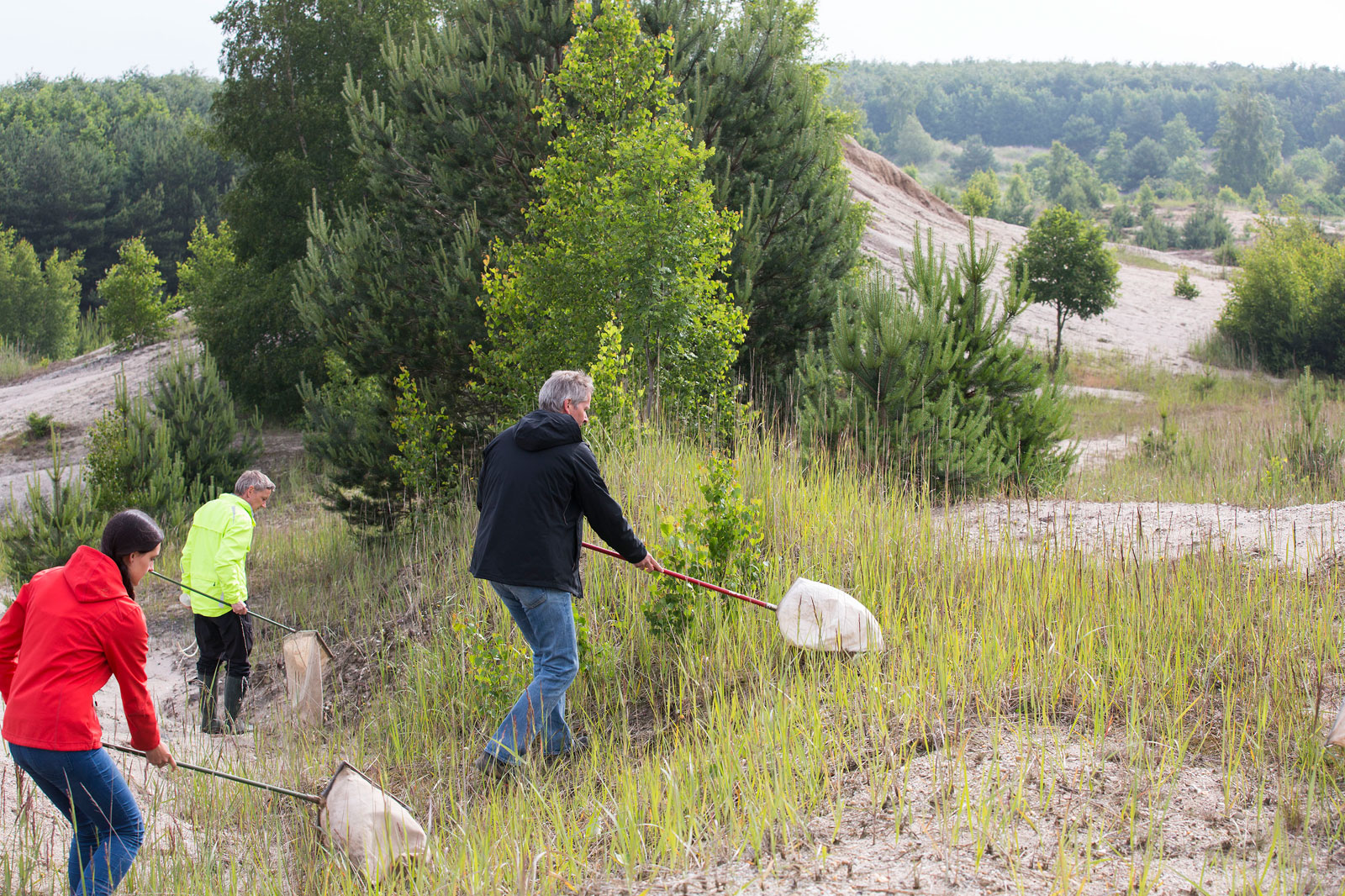 Drei Personen sammeln Proben in einem grasbewachsenen Gebiet, umgeben von Bäumen und sandigen Hügeln.