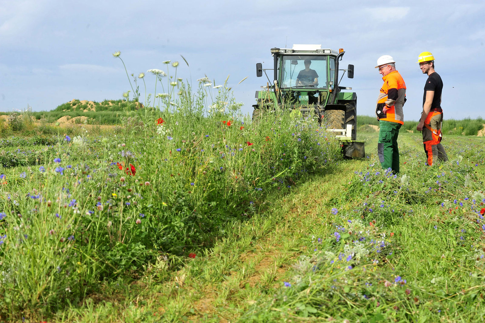 Zwei Arbeiter beobachten einen Traktor, der Gras in einem Feld mit Wildblumen unter einem bewölkten Himmel mäht.