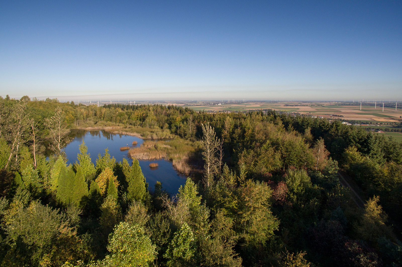 Eine malerische Aussicht auf einen Wald mit einem Teich, Hügeln und Windkraftanlagen in der Ferne unter einem klaren blauen Himmel.