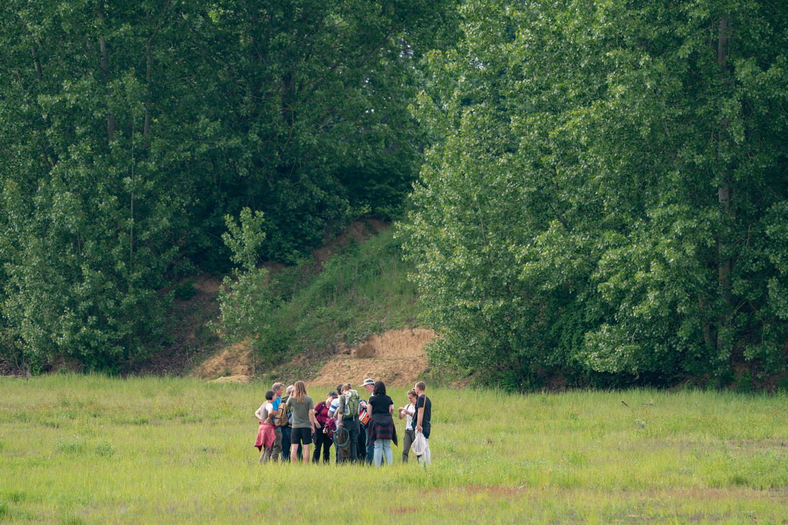 Eine Gruppe von Menschen versammelt sich in einem grünen Feld, umgeben von Bäumen, und führt eine Diskussion oder Aktivität durch.