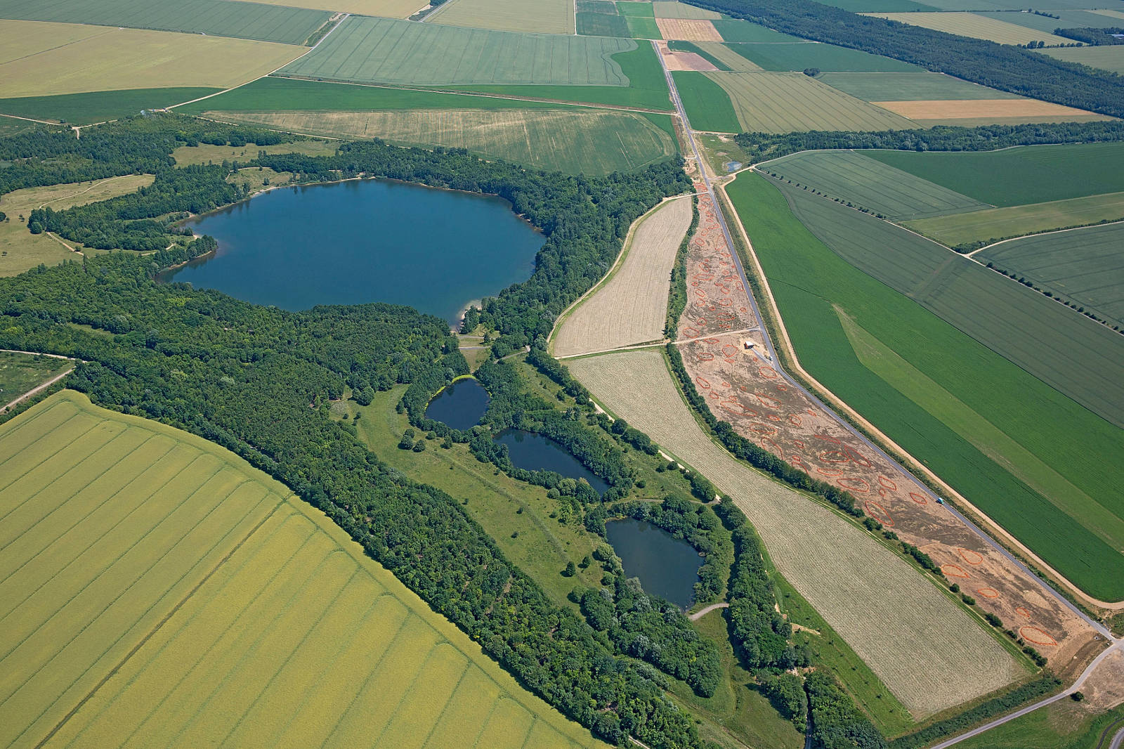 Eine Vogelperspektive auf grüne Felder, Wasserflächen und eine Straße, die eine ländliche Landschaft mit Bäumen und Feldern teilt.