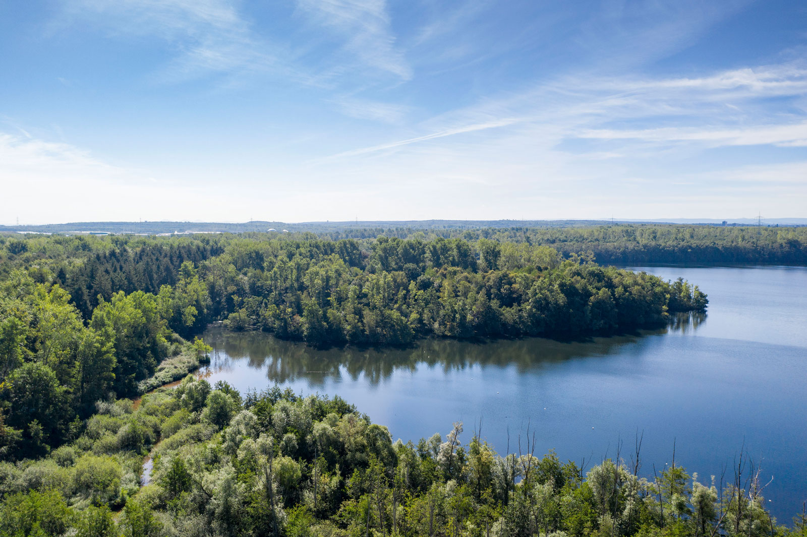 Eine ruhige Seelandschaft mit üppigem Grün und einem klaren blauen Himmel, der sich im ruhigen Wasser spiegelt.
