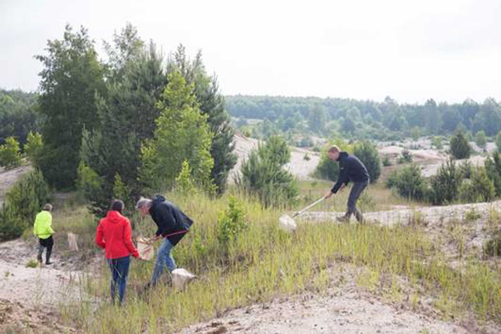Menschen sammeln Proben in einem sandigen Gebiet mit spärlicher Vegetation und Bäumen im Hintergrund an einem bewölkten Tag.