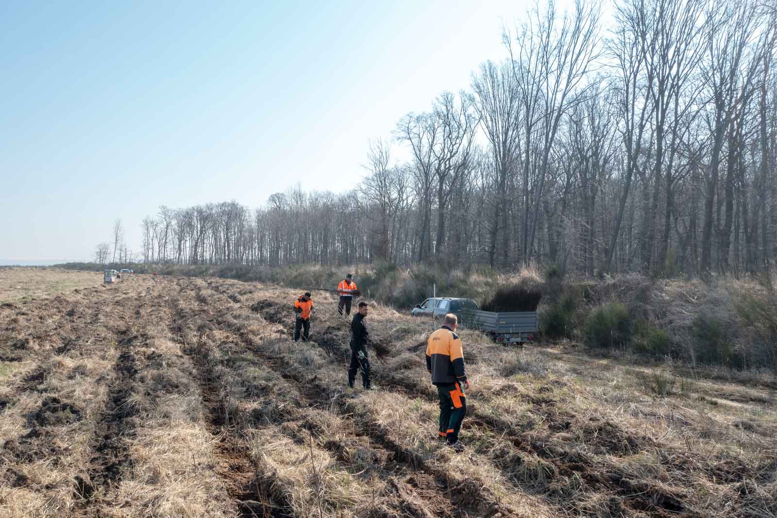 Arbeiter in orangefarbigen Westen räumen ein Feld mit trockenem Gras und Furrows, im Hintergrund stehen Bäume und ein geparktes Fahrzeug.