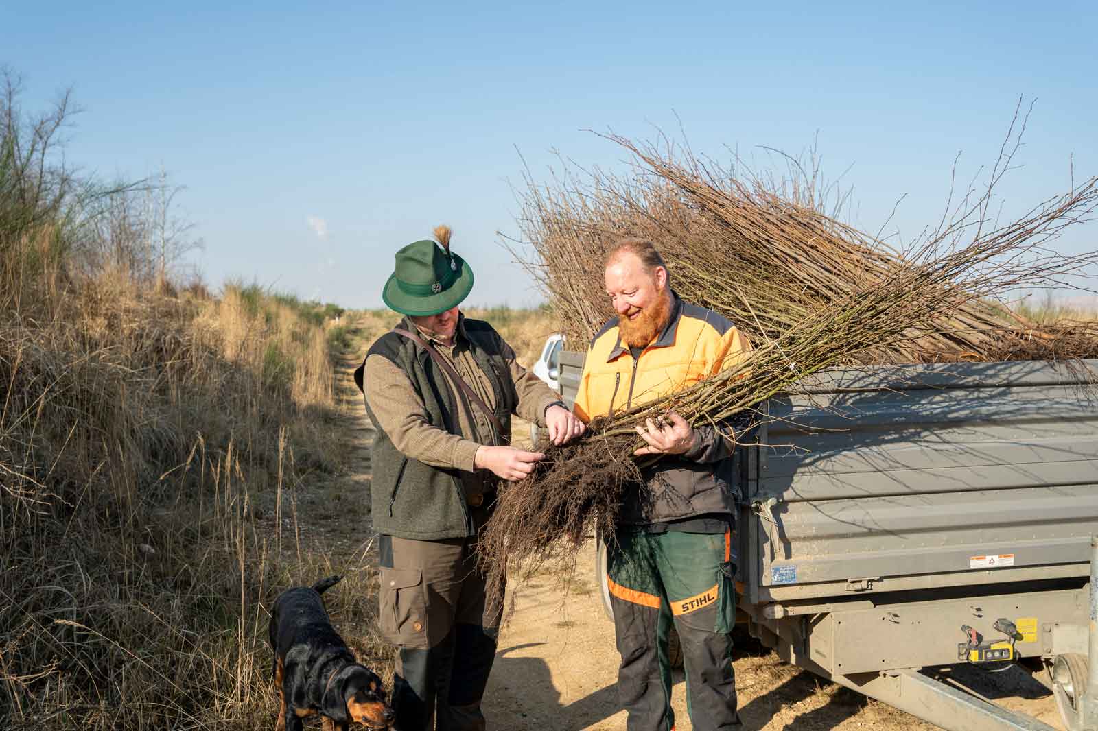 Zwei Männer im Freien, die Bündel von Zweigen mit einem Hund in der Nähe und einem Anhänger im Hintergrund halten.