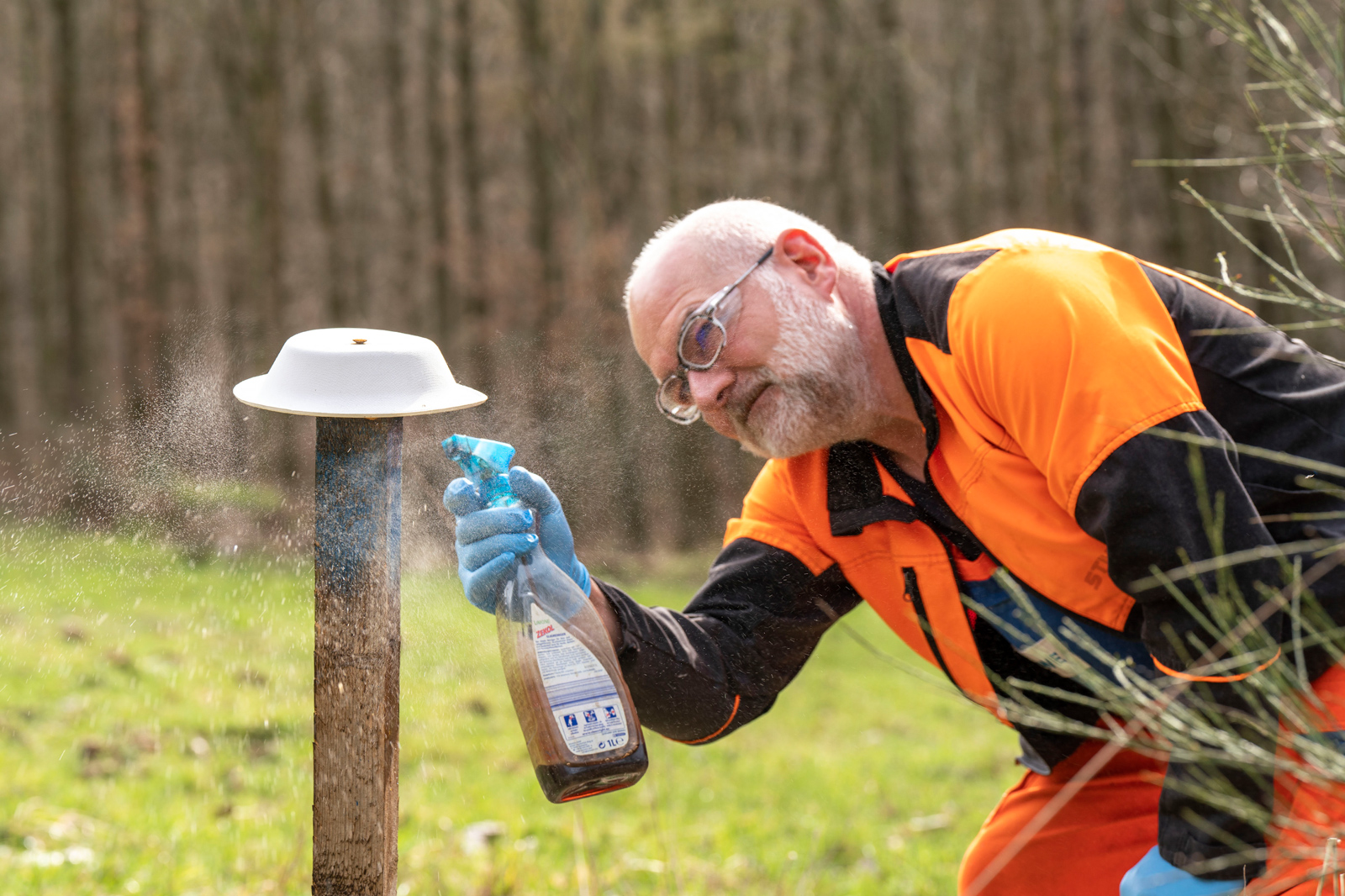Eine Person in einer orangefarbenen und schwarzen Uniform besprüht einen Holzbalken mit einer weißen Oberseite in einem grünen Feld.