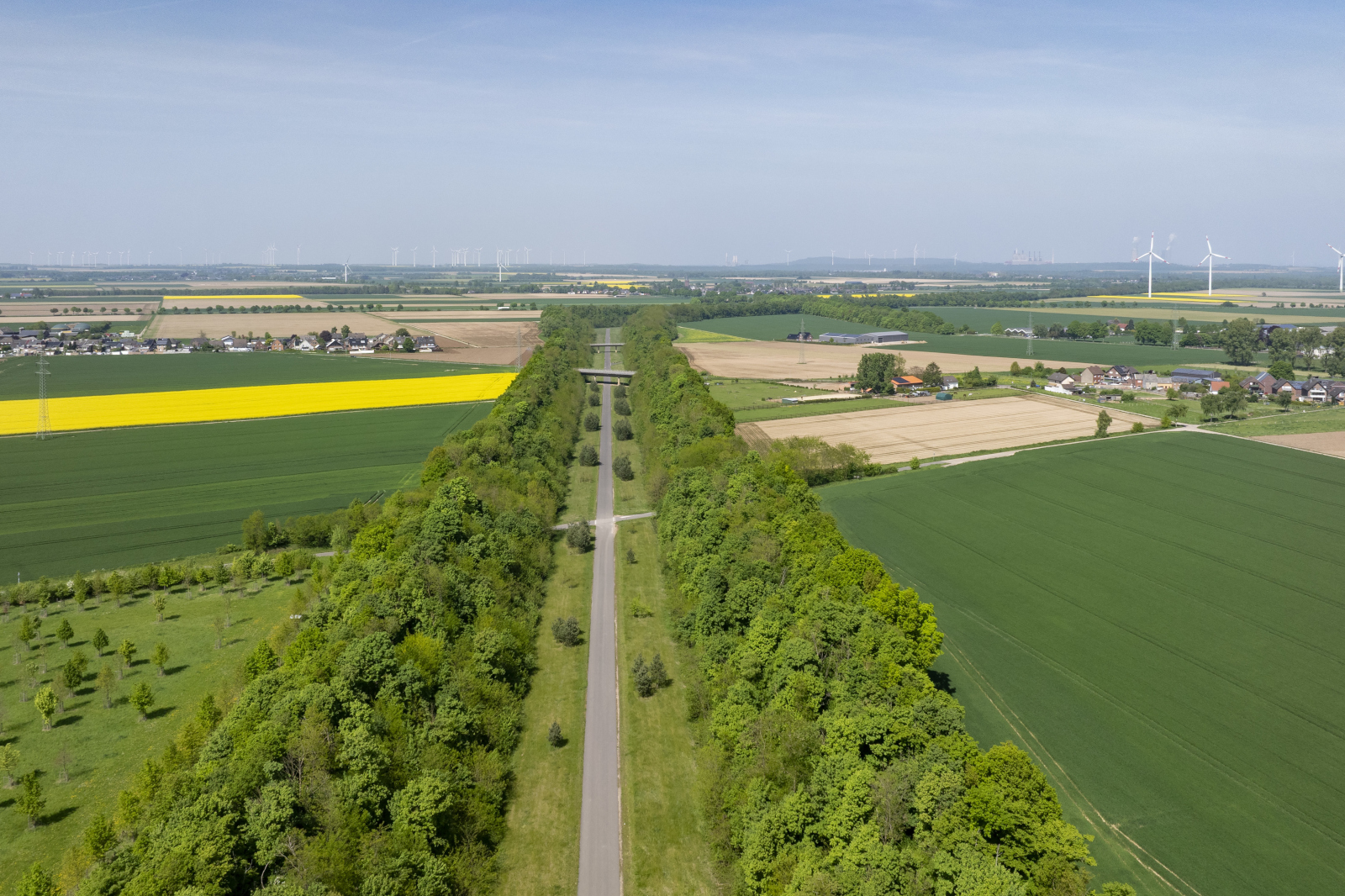 Luftaufnahme einer von Bäumen gesäumten Straße, umgeben von Feldern und landwirtschaftlichen Flächen, mit Windkraftanlagen im Hintergrund.
