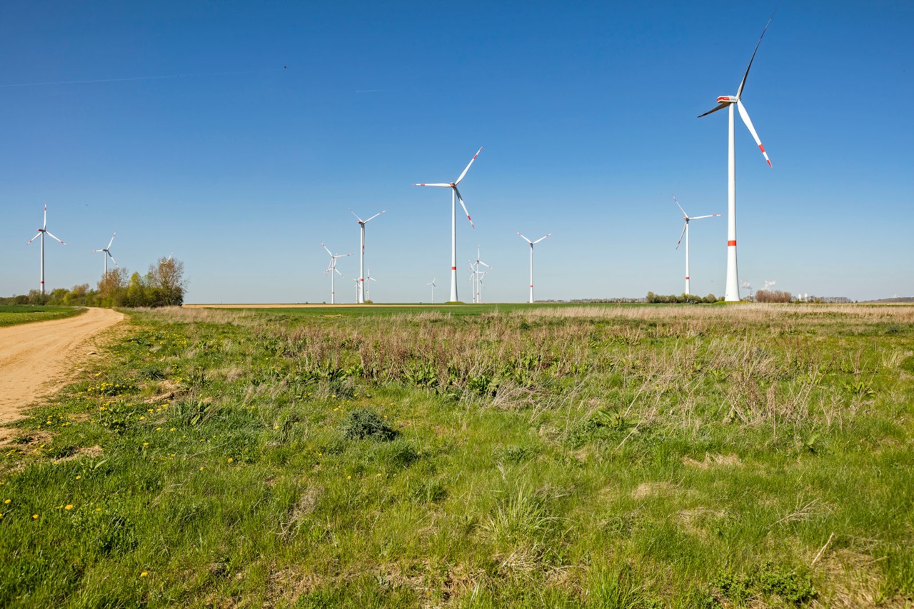 Eine Gruppe von Windkraftanlagen steht auf einem grünen Feld unter klarem Himmel.