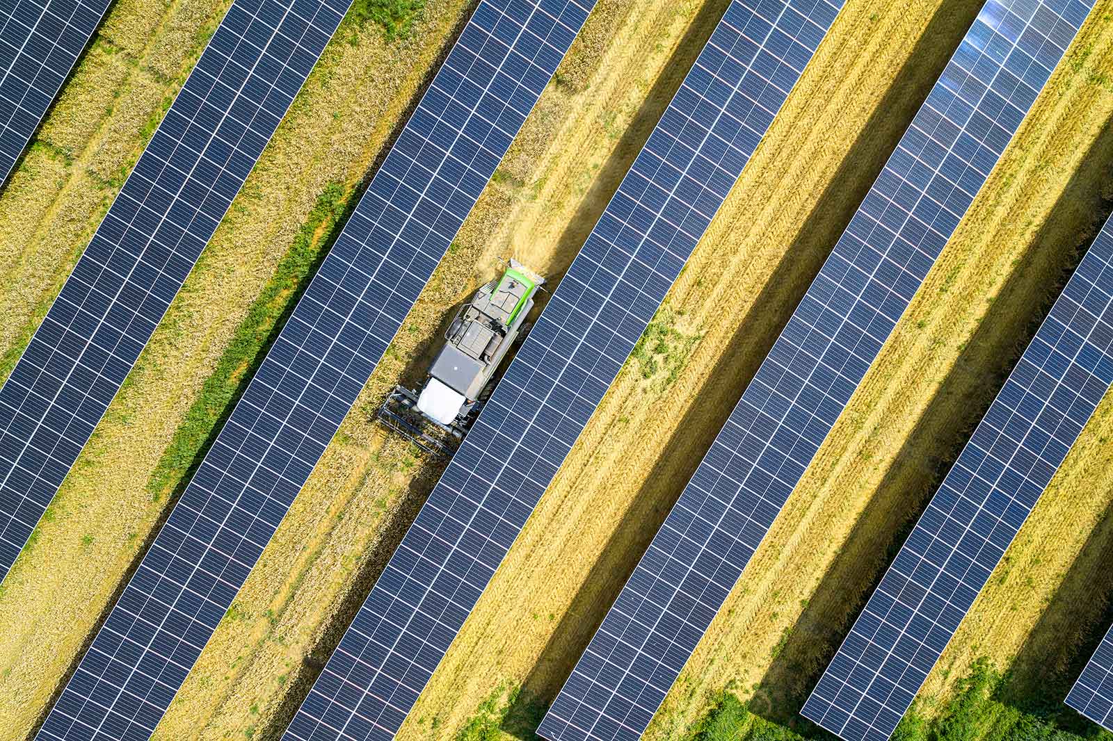 A tractor is mowing the field between solar panels. The panels are arranged in striped formations.
