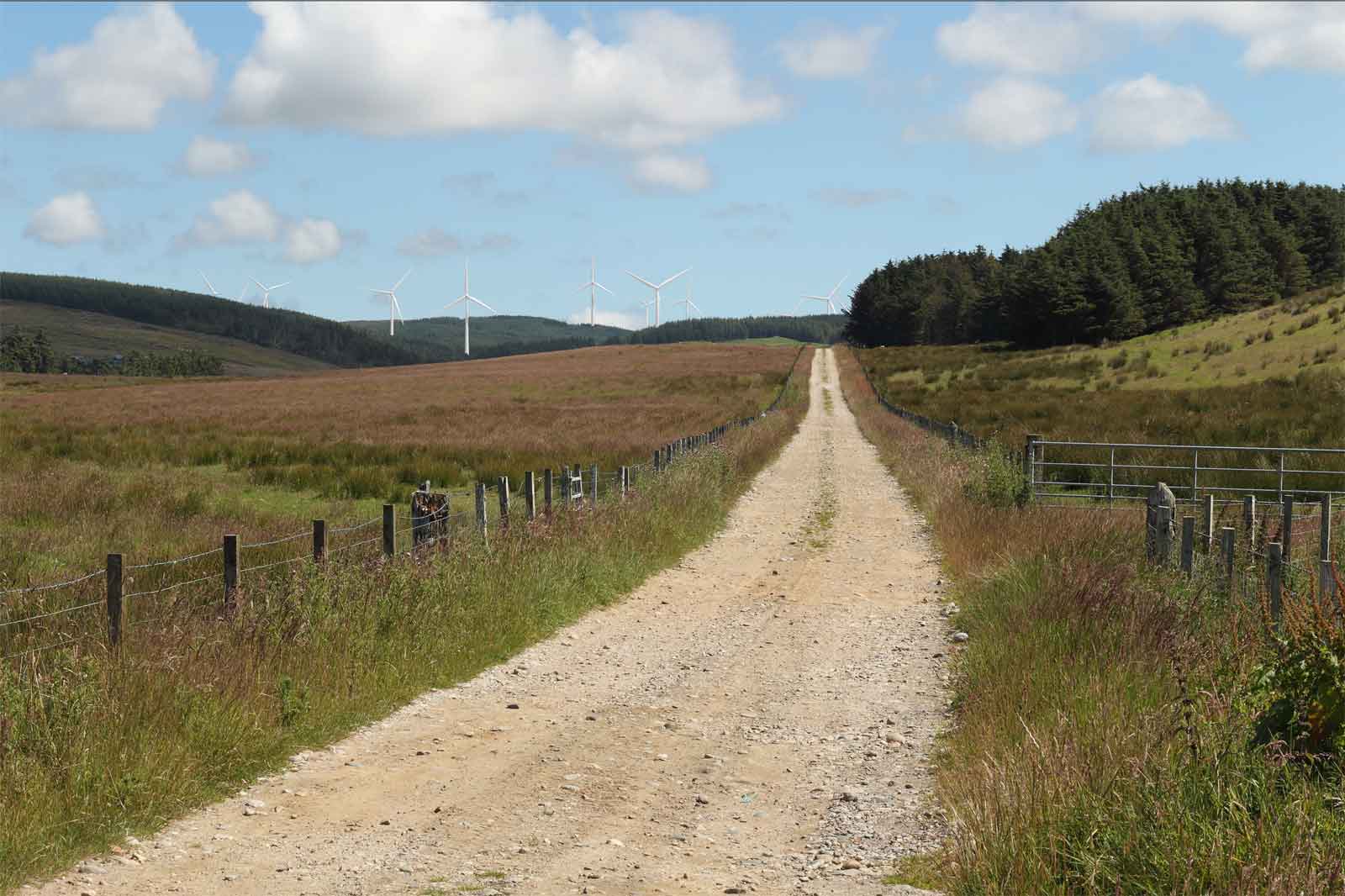 A narrow dirt path stretches through a wide landscape, featuring wind turbines in the background and trees on the right.