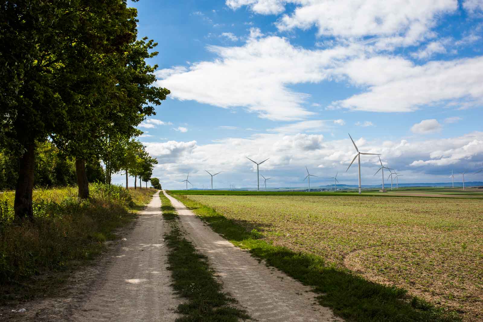 A dirt path between trees and a field, with wind turbines in the background under a cloudy sky.