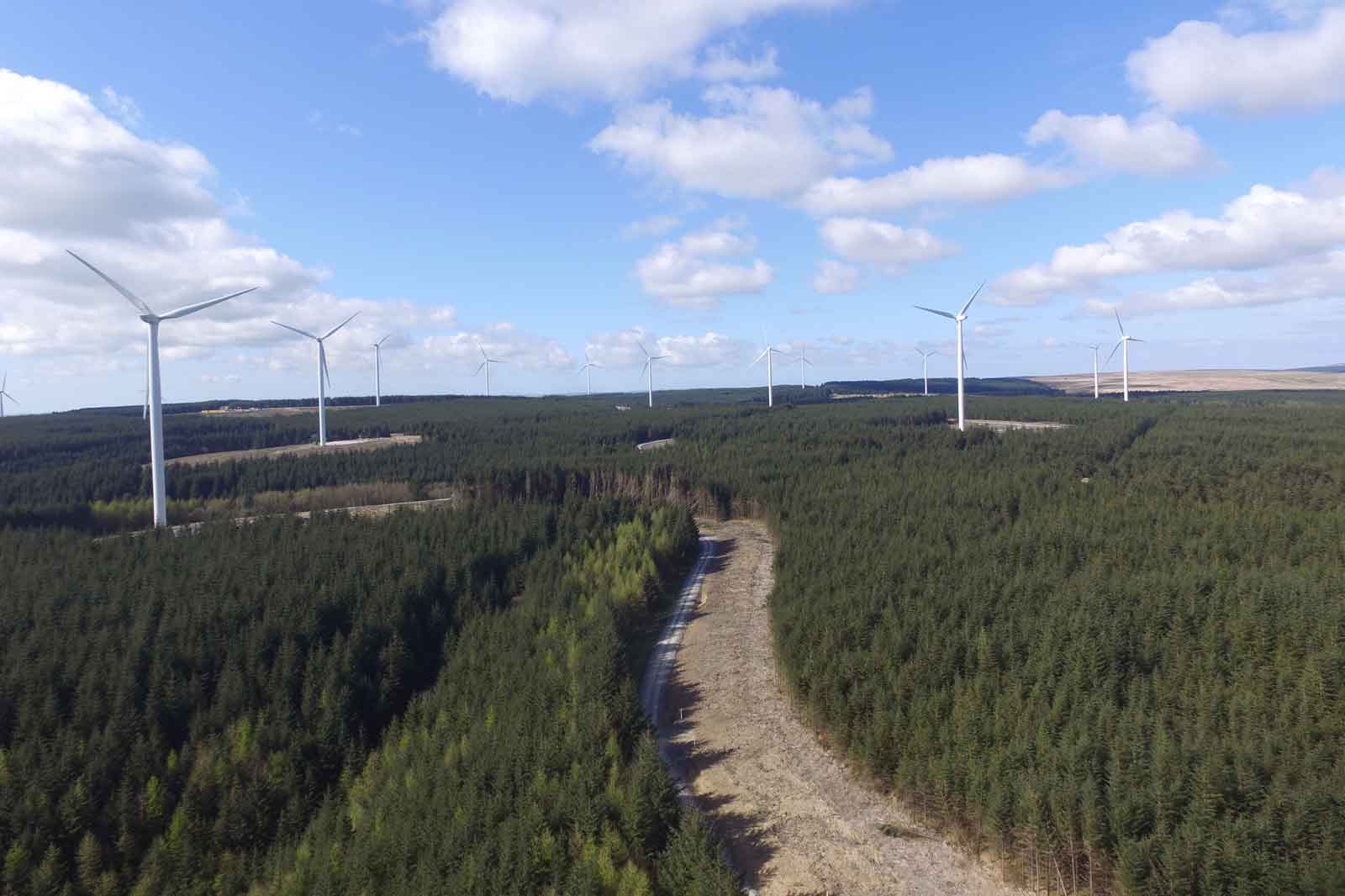 Aerial view of green forests dotted with tall wind turbines under a blue sky with wispy clouds.