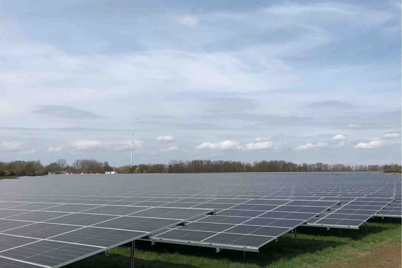 A field of solar panels stretches under a cloudy sky. Trees are visible in the background.