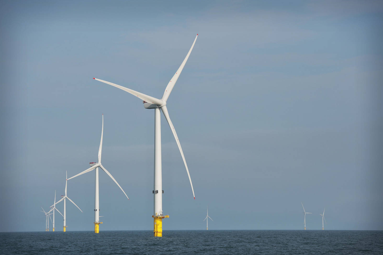 Mehrere Windkraftanlagen stehen im Meer, mit gelben Fundamenten und weissen Rotorblättern unter einem bewölkten Himmel.