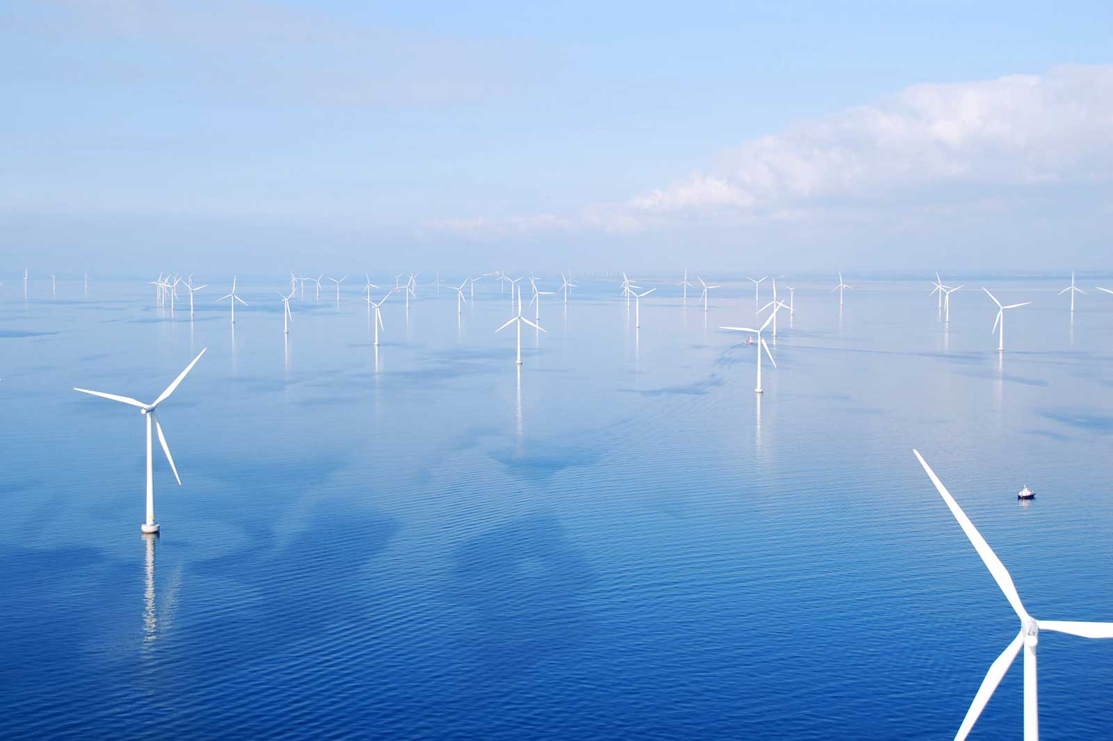 Ein weites Meer mit vielen Windkraftanlagen, die sanft im Wasser stehen, unter einem klaren blauen Himmel.