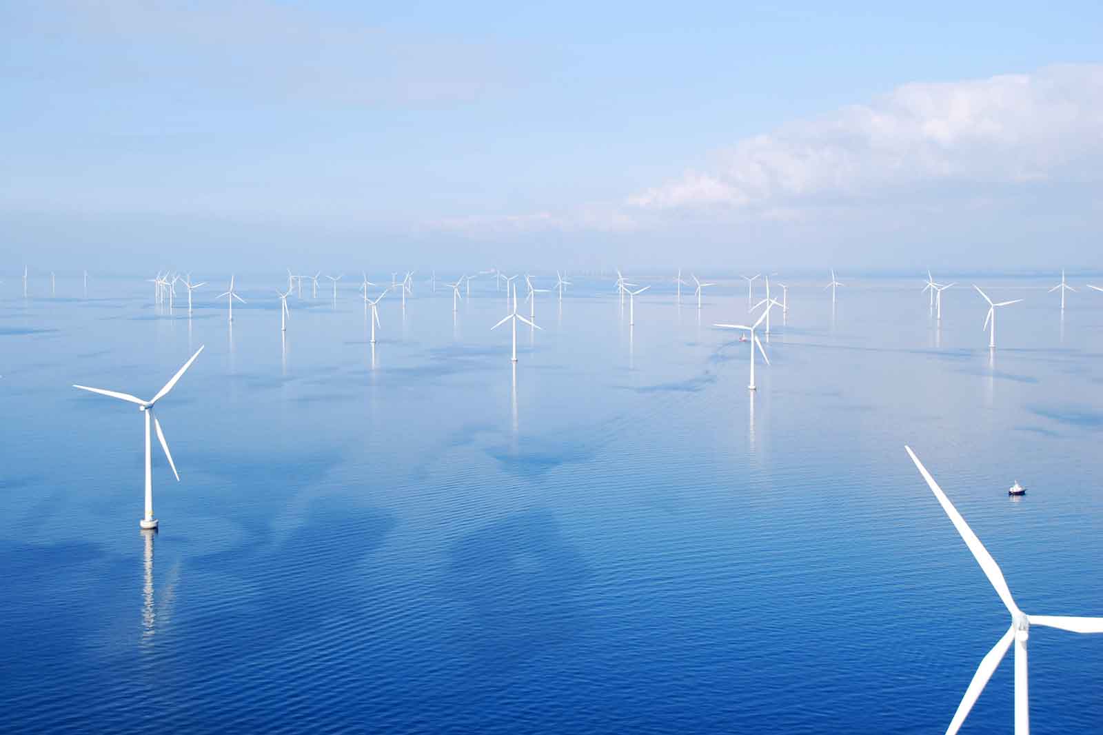Eine Windkraftanlage im Meer mit vielen weiteren Windturbinen im Hintergrund und ruhigem Wasser.