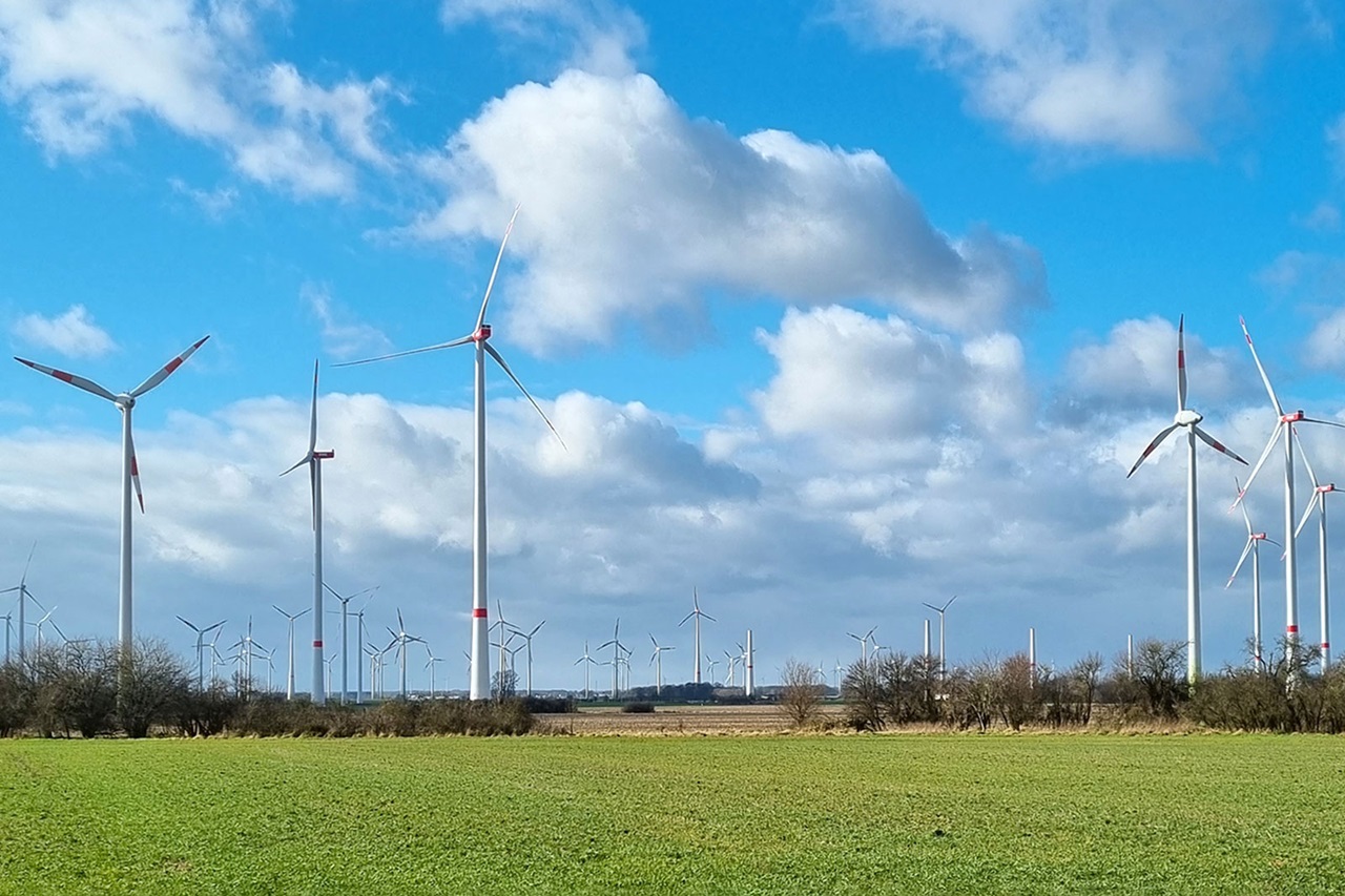A landscape featuring numerous wind turbines under a blue sky with fluffy white clouds and green grass in the foreground.