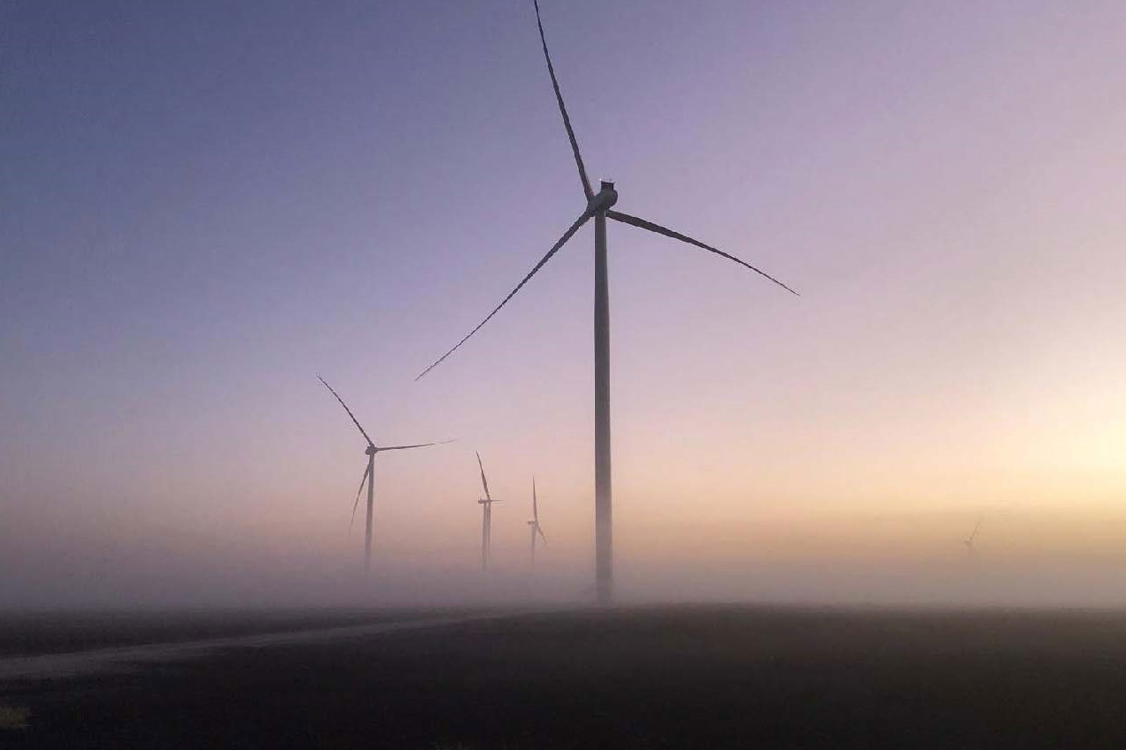 Wind turbines rise in fog at sunrise, with soft colours in the sky.