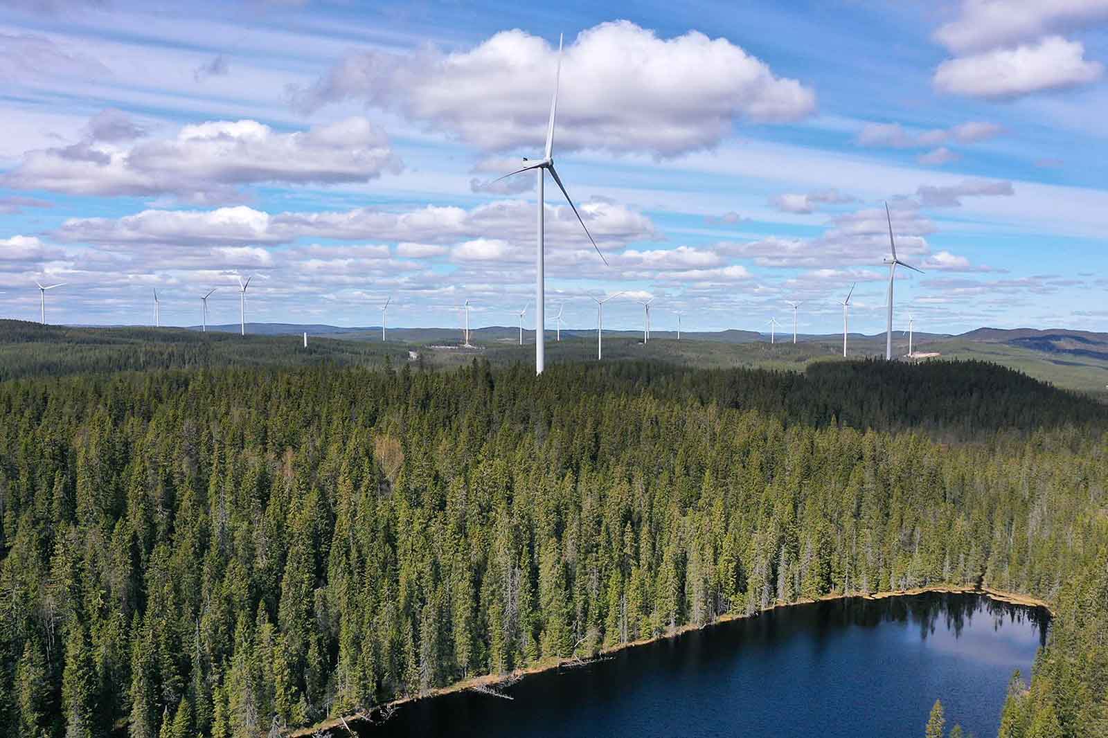 A landscape featuring wind turbines over a forest and a lake under a cloudy sky.