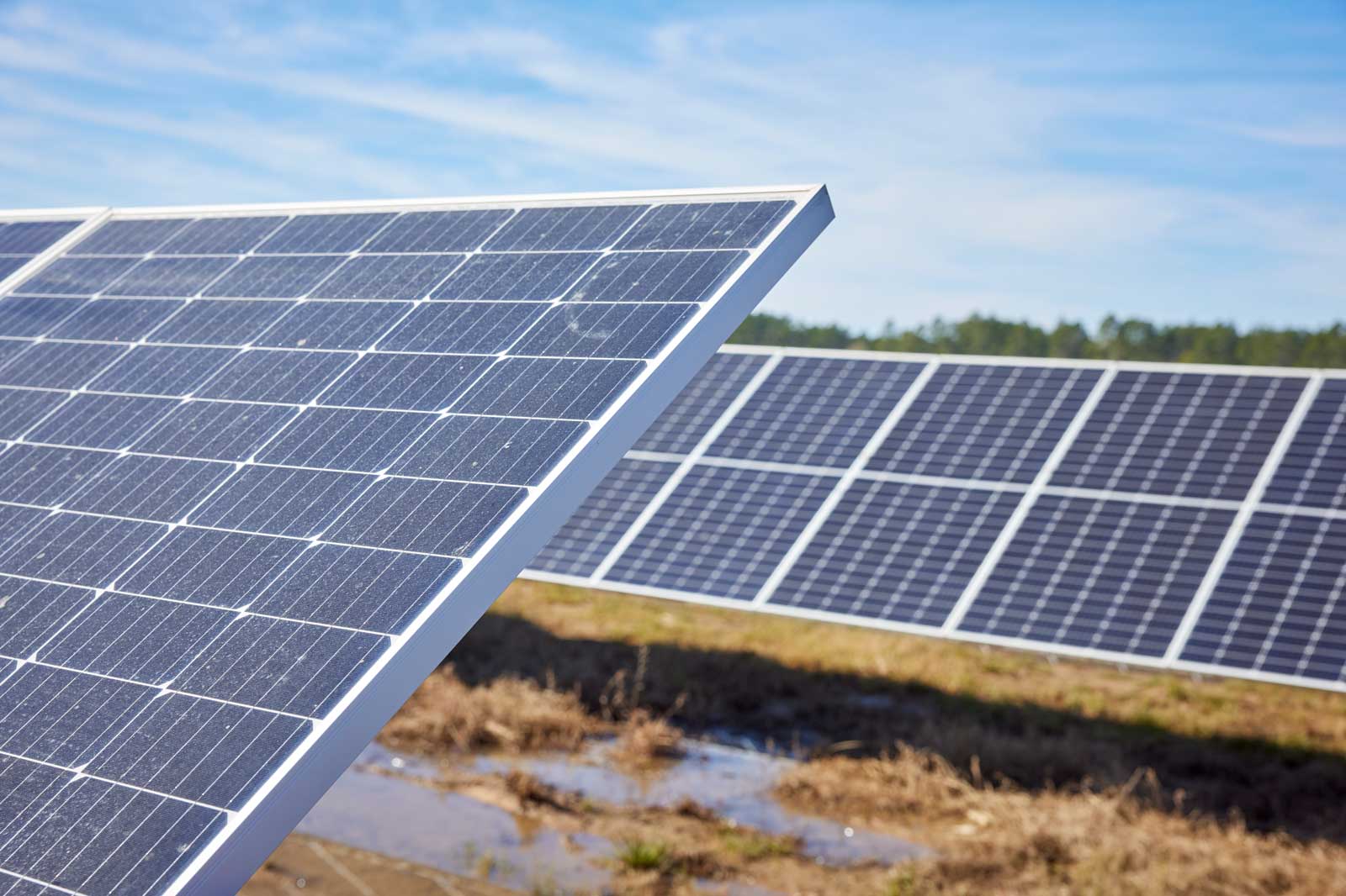 Solar panels are positioned in a field, basking under a blue sky with some clouds in the background.