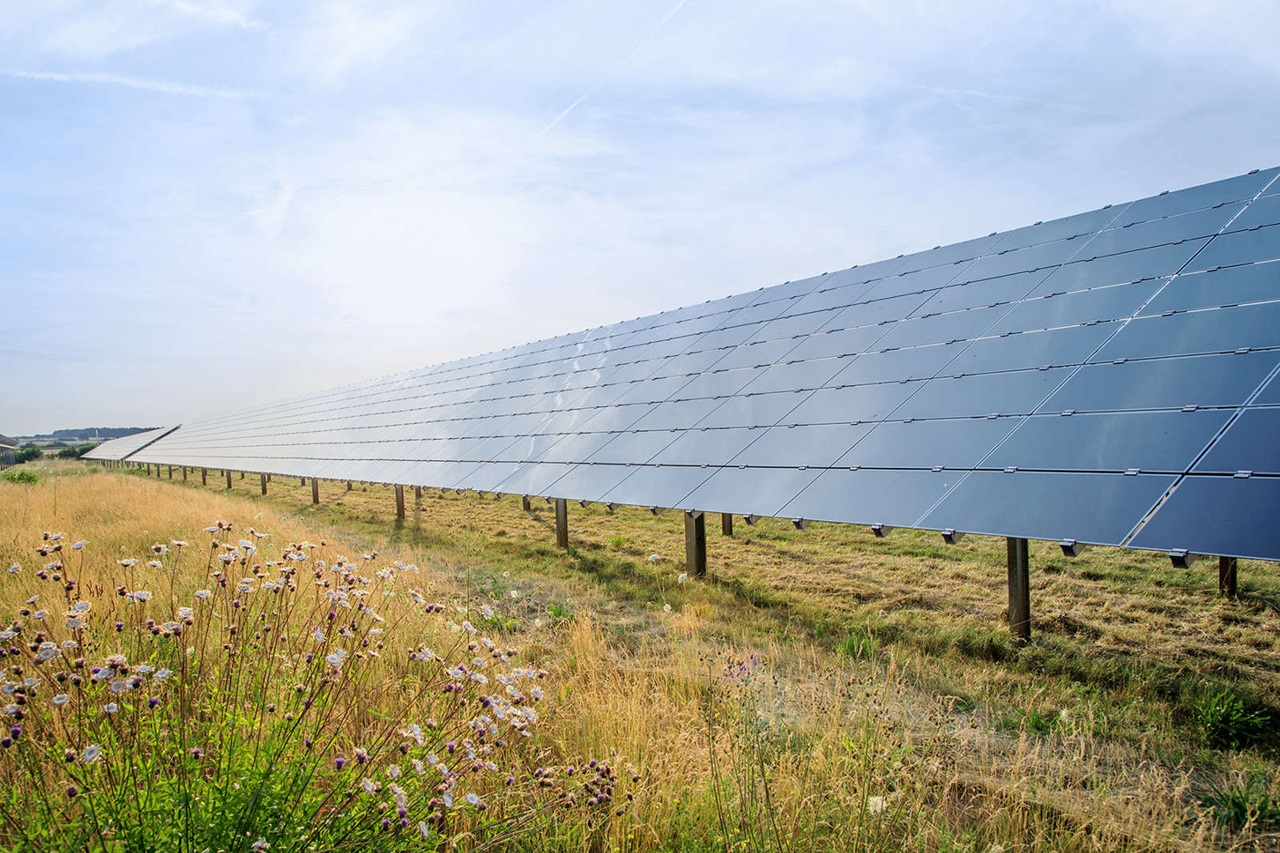 A field with solar panels gleaming in the sun, surrounded by tall grass and blooming plants.