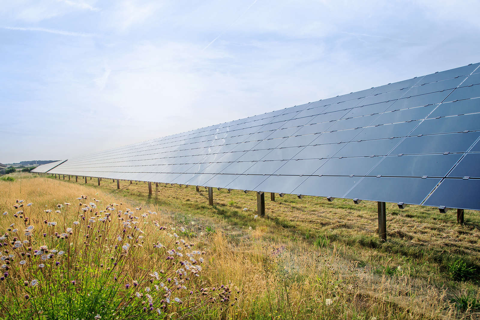 Ein Feld mit Solarpanelen, die in der Sonne glänzen, umgeben von hohem Gras und blühenden Pflanzen.
