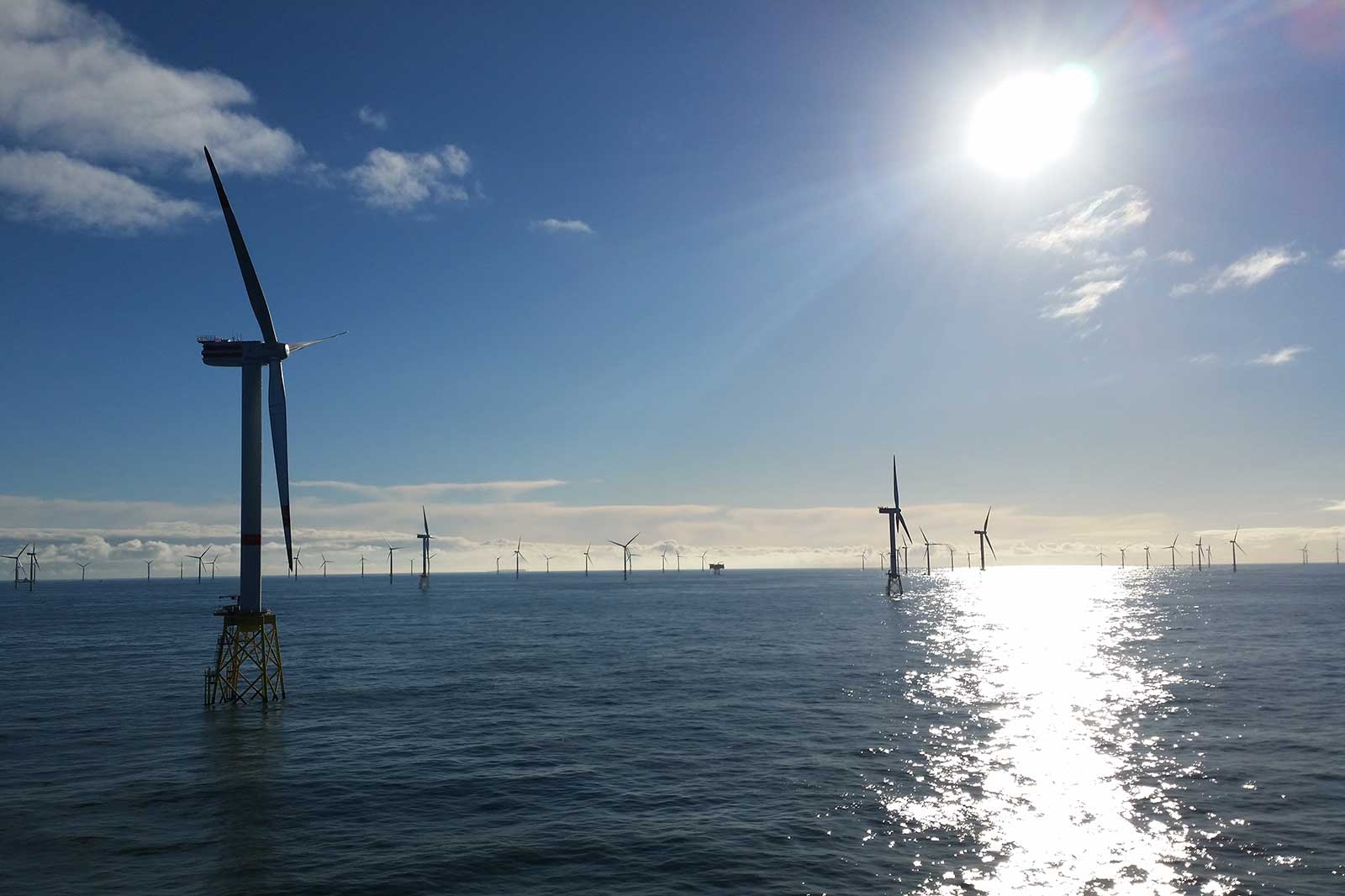 Wind turbines stand in the water under a sunny sky. The sun reflects on the surface of the water.