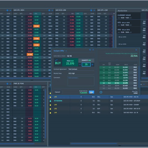 Ein detaillierter Screenshot einer Handelsplattform mit Preislisten, Kaufauftrag und Marktdaten.