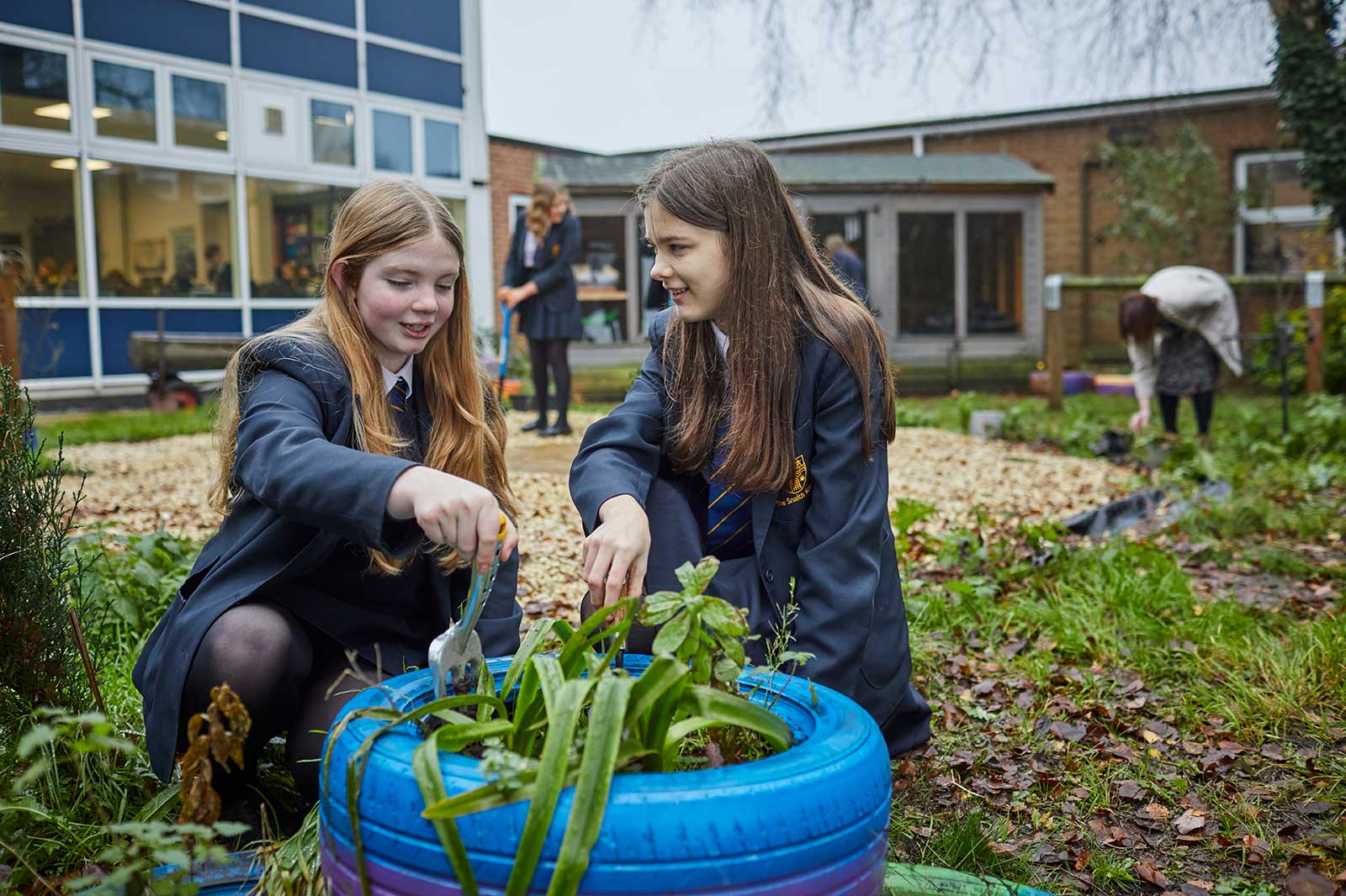 Two schoolgirls are planting in a colourful tyre in the school garden. In the background, others are engaged in gardening activities.