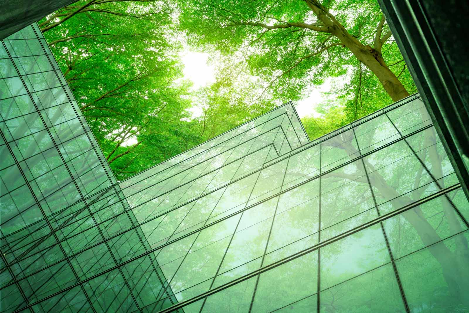 A modern architectural structure with large glass surfaces surrounded by lush green trees, capturing natural light.