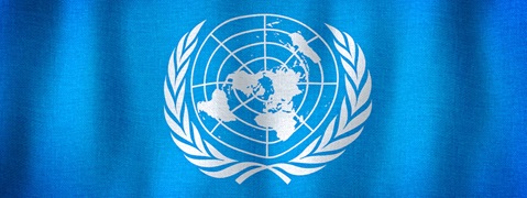 The United Nations flag features a white world map on a blue background, encircled by olive branches.