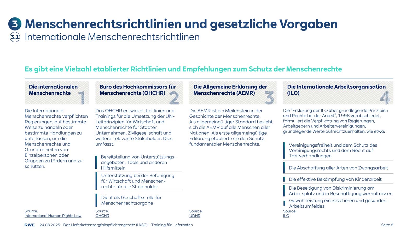 Ein Diagramm, das internationale Menschenrechtsrichtlinien und Prinzipien zum Schutz beschreibt.