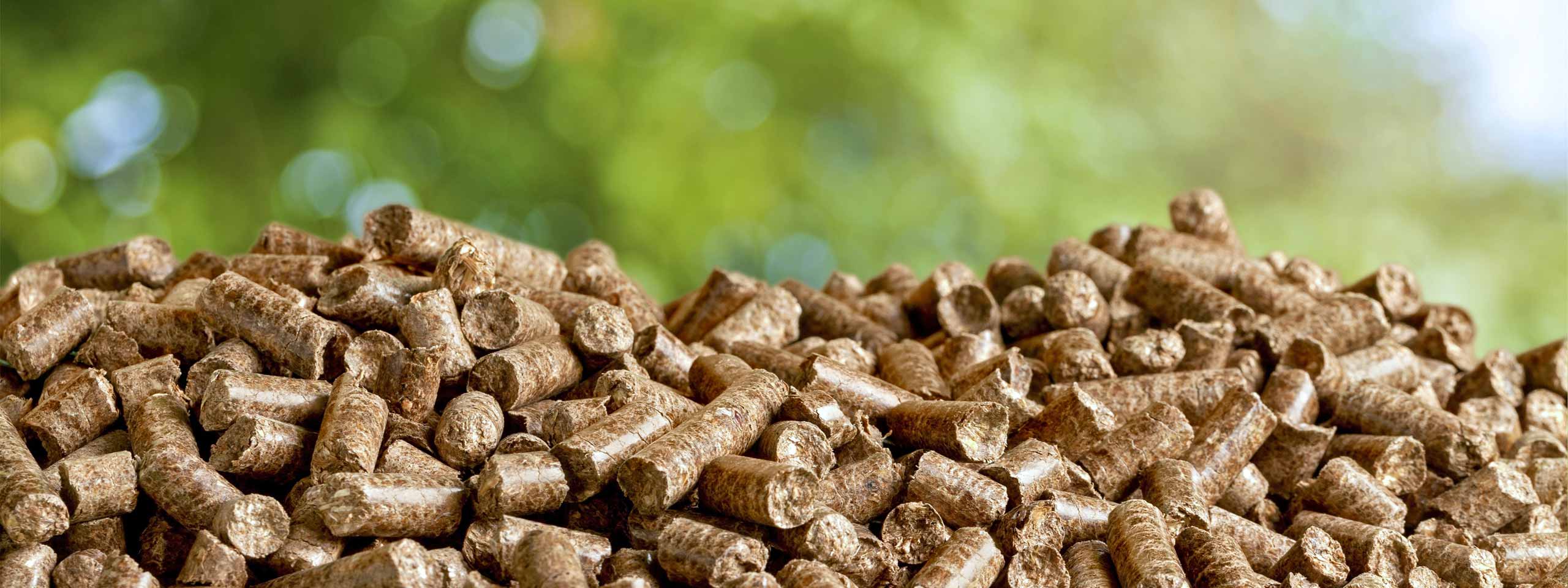 A pile of small wood pellets against a blurred natural background.