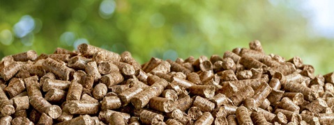 A pile of small wood pellets against a blurred natural background.