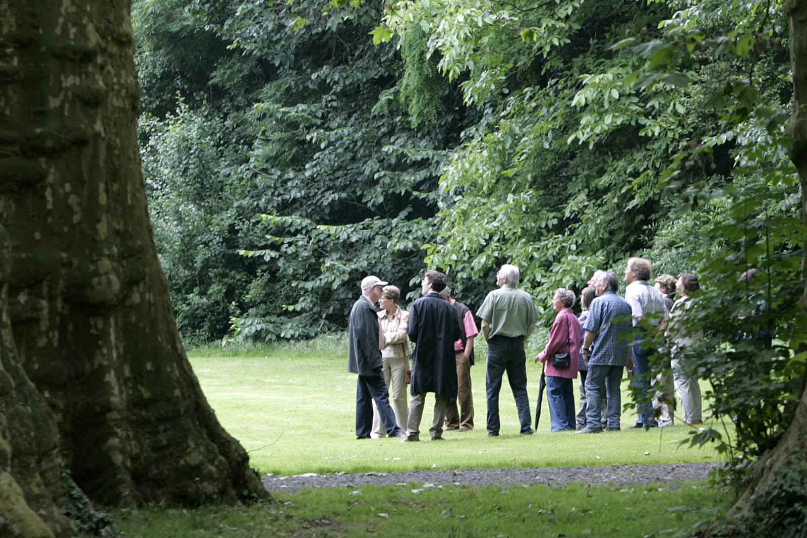 Eine Gruppe von Menschen versammelt sich in einem üppig grünen Park, umgeben von Bäumen und diskutiert im Freien.