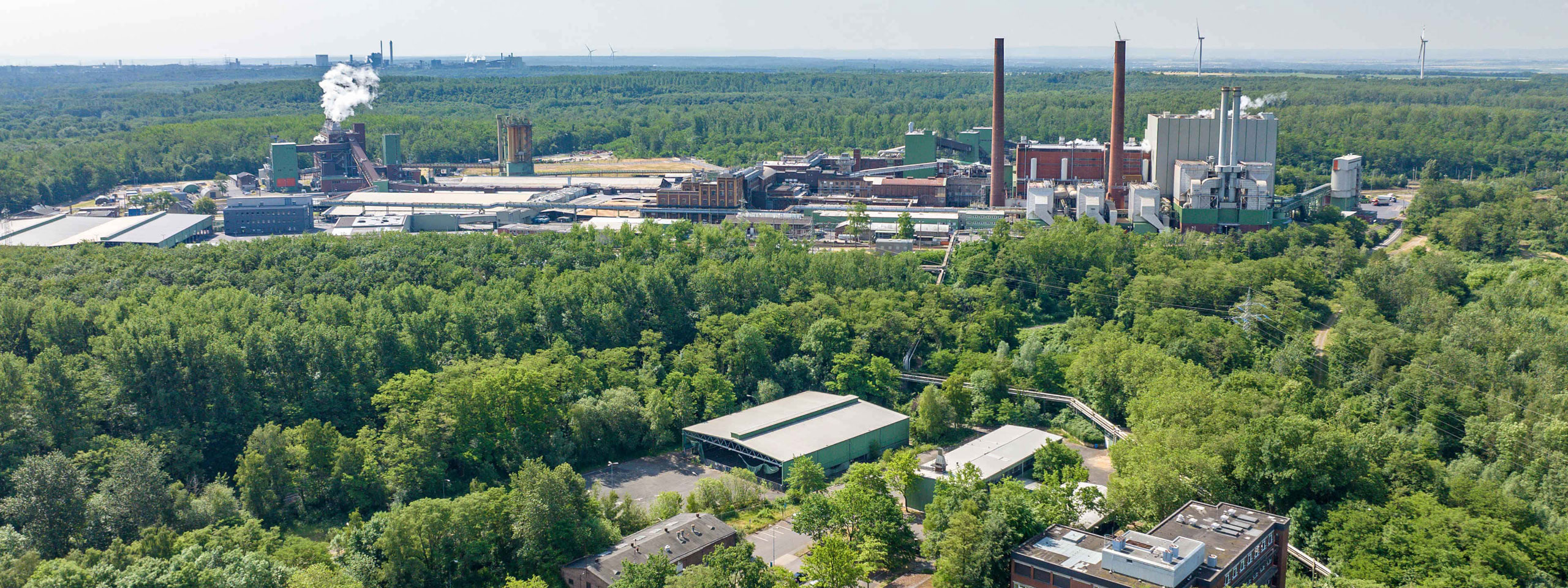 Eine industrielle Anlage umgeben von dichten Wäldern, mit Rauch aus Schornsteinen und modernen Gebäuden im Hintergrund.