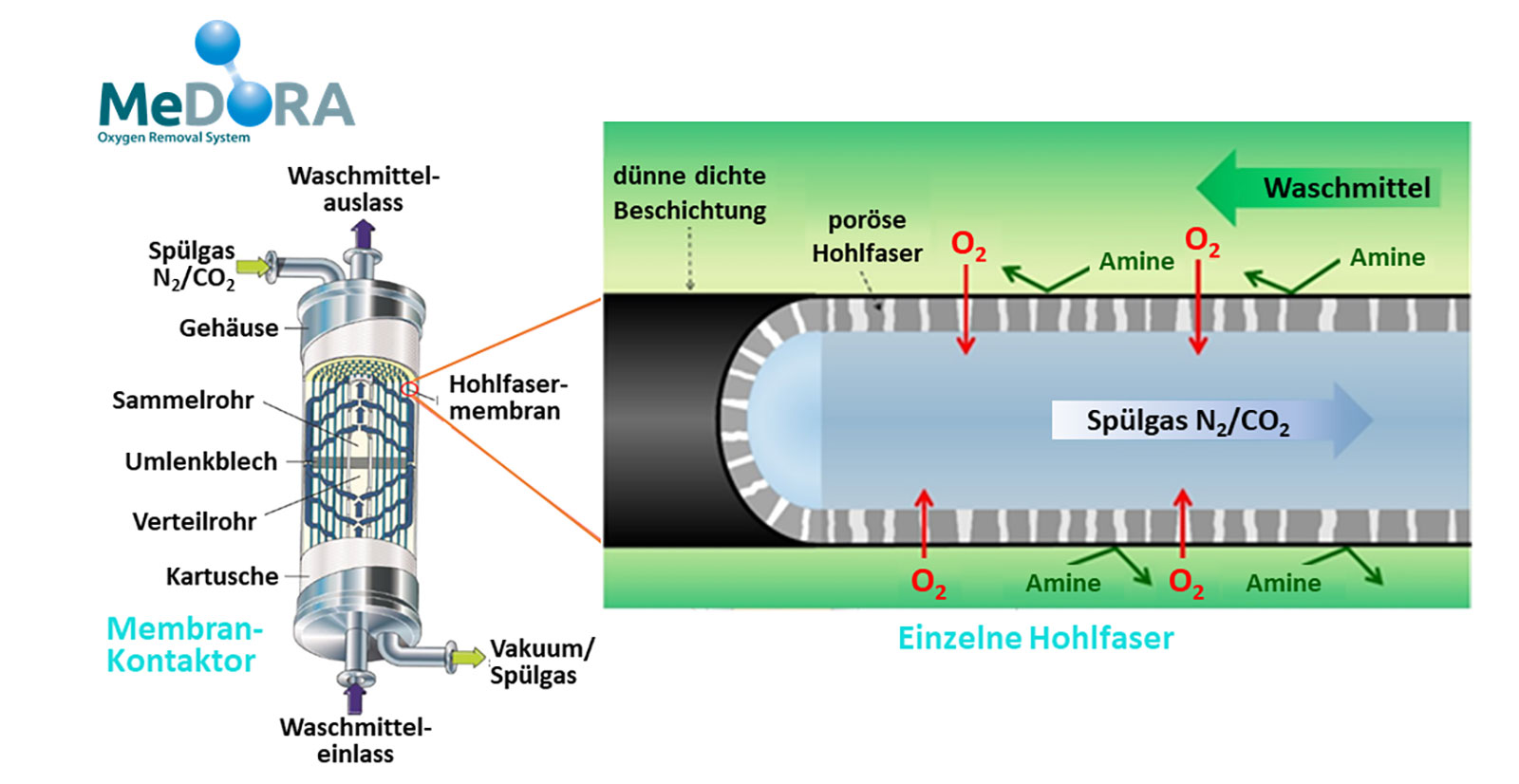 Diagramm des MeDORA Sauerstoffentfernungssystems mit Hohlfaser-Membran, Waschmittel und Spülgasströmen.