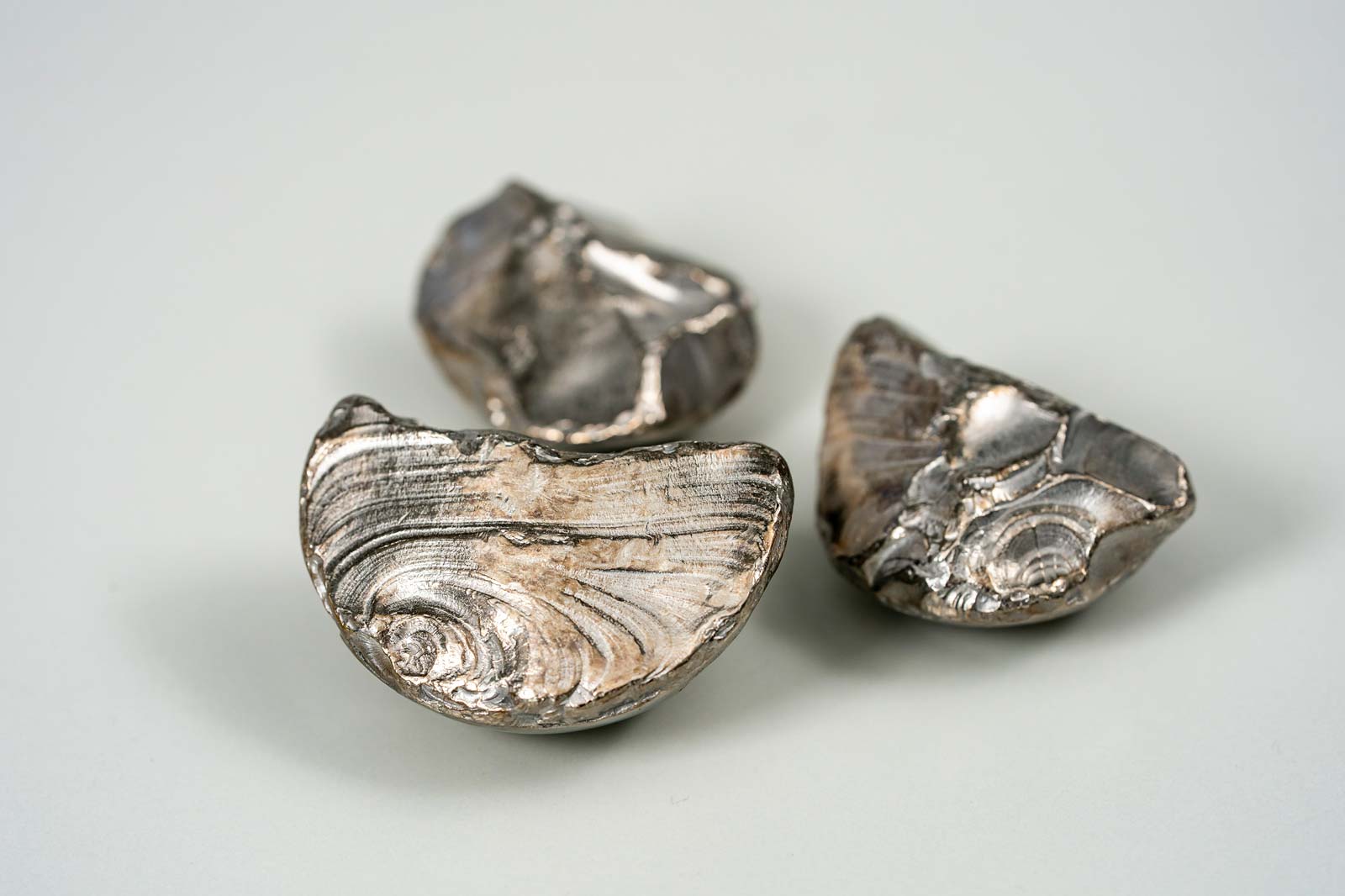 Drei silberne Muschelschalen liegen auf einem hellen Hintergrund, mit sichtbaren Mustern auf der Oberfläche.